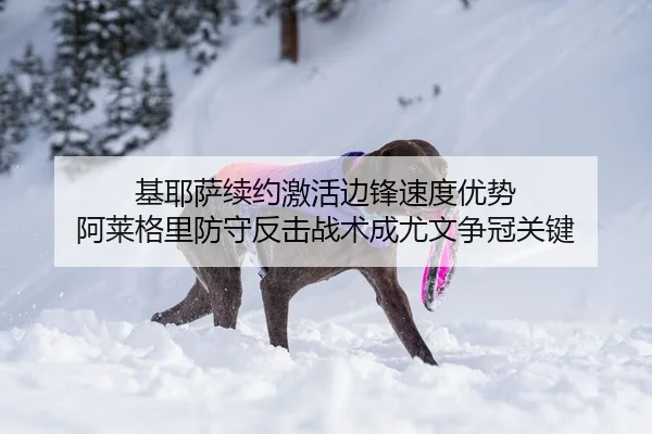 基耶萨续约激活边锋速度优势 阿莱格里防守反击战术成尤文争冠关键